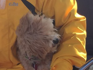 What is Sammy thinking now?