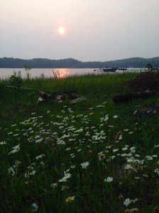 Sun setting over Lower Herring Lake and Camp Lookout.  (Photo with permission and compliments of Andrea)