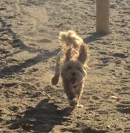 Run, run, run. . . . .