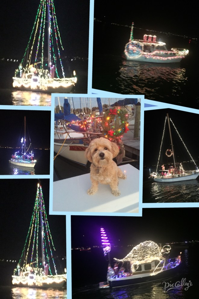The Holiday Boat Parade in Gulf Port just before flying home.