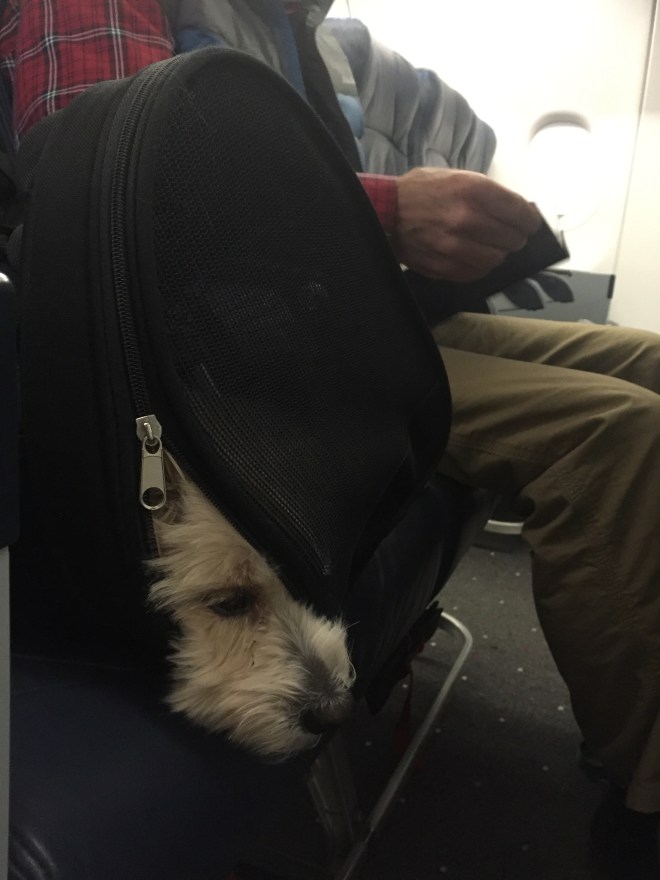 The indignity of it all!