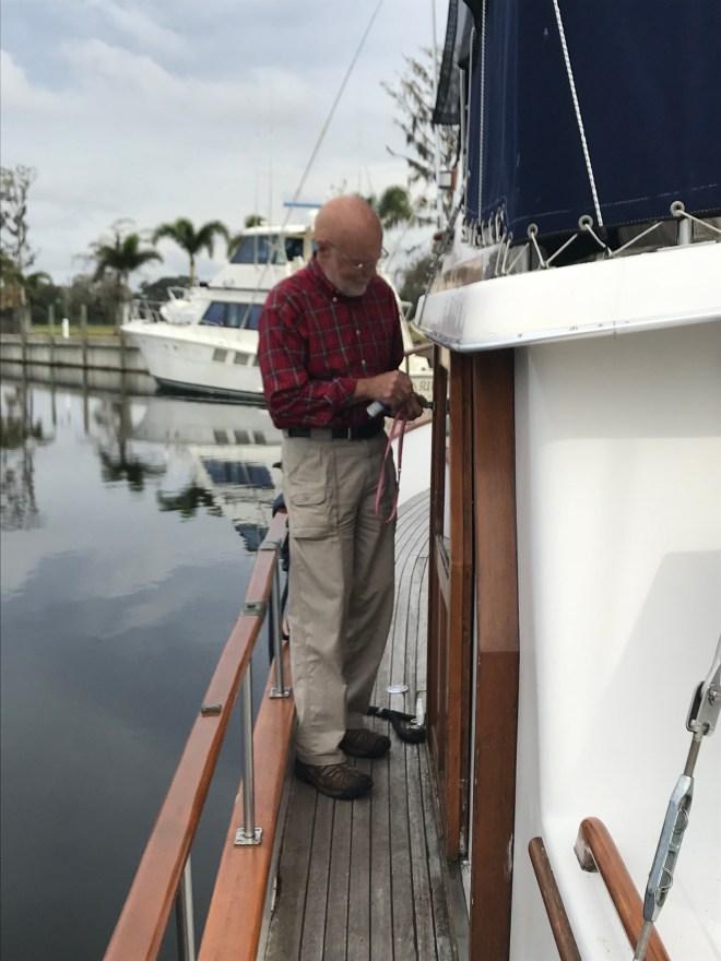 +i8rgukZQZmdmm0leMNeBA