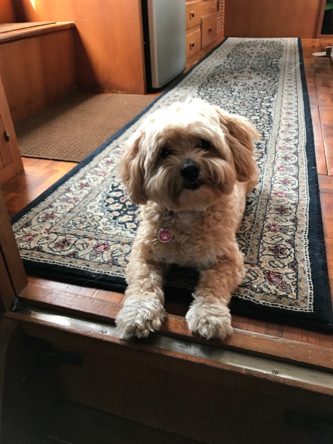 ygVqEbOUSr2BpqzyaGYYsg