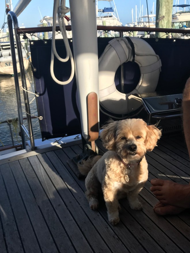 1V1FR6JmQbqw2Ja7z3oSbw