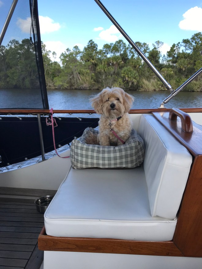 g3cg3W3+TTivggX8RUk05g