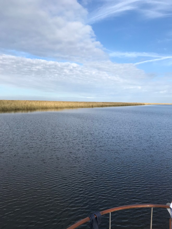 gX0OBgD8Q1m7v4YHf1a7uA