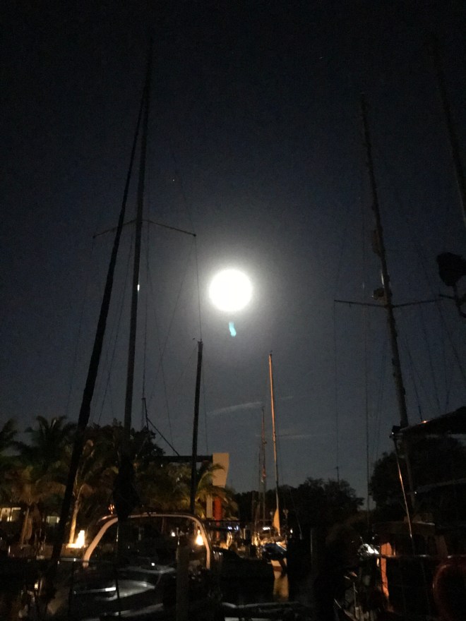 TN03NSsIQkuxZBx4fhpKrA