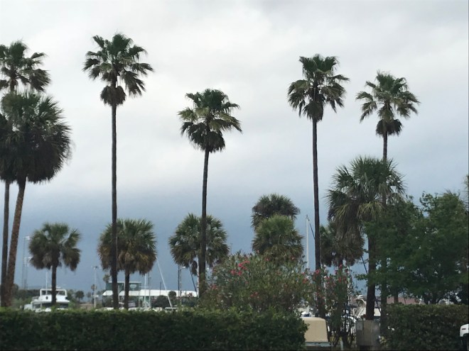 6K9DgiEPSiORwAA5IOjJtA