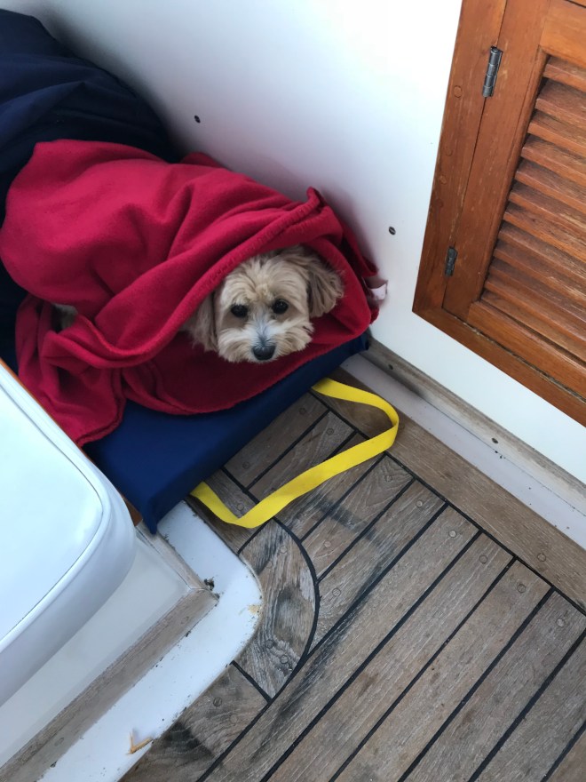 sEs+LzcDSxmVbMbwWd5qUA