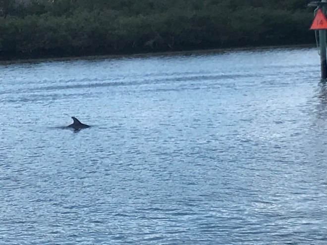 UkUssTnnT0iyulB2RRNeaQ