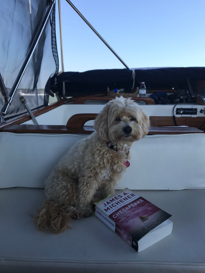 ENcdKXVVSQeU8nponELIyA