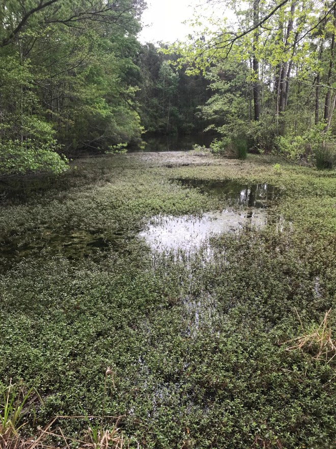 f+g7mq7cSG+ymSAGrhNKVQ