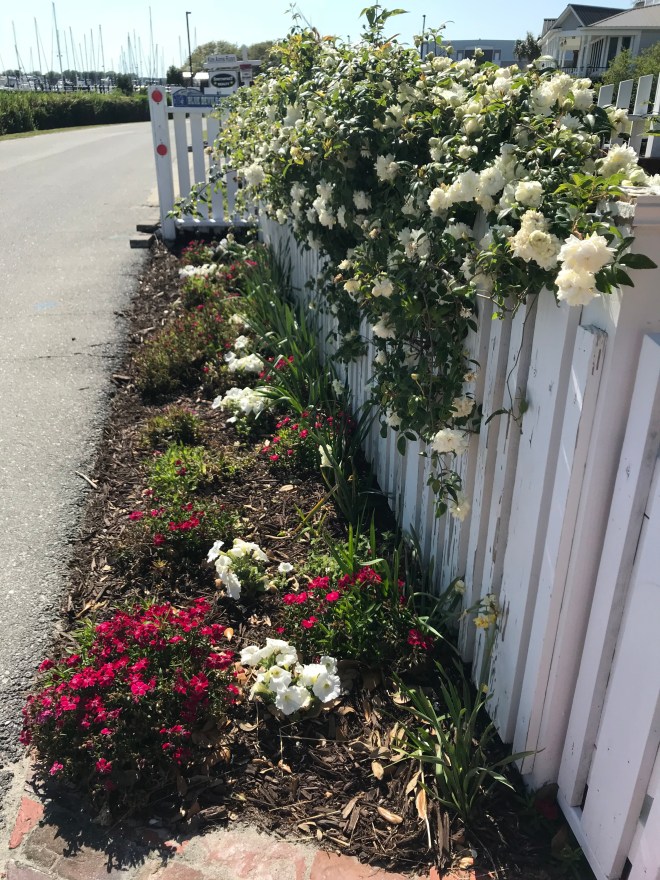 gsmWhXf7TOmh%9wDDh00XA