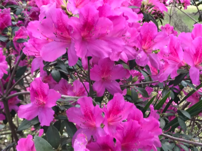 LVtXYgqxTyqCCU7Awb7GjA