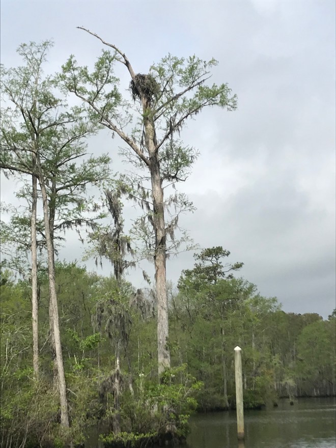 Qzt542mtQX2yJsrsoc9LEw