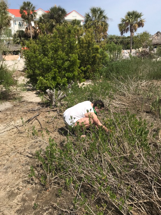 vIcPDT9KS7i%sgHZSCQwrg