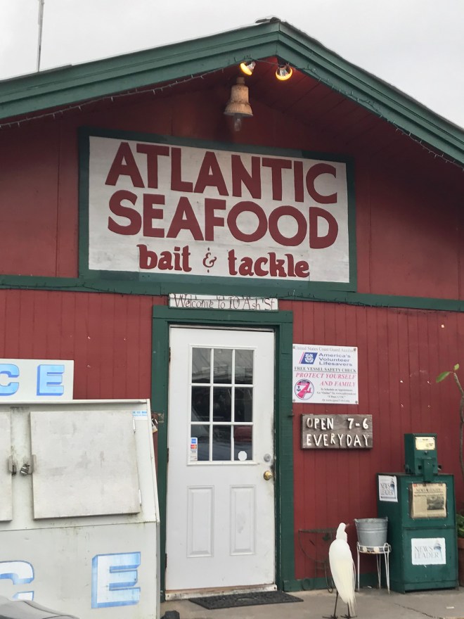 Vkvg+QpORgqTqFZeJKUhjQ