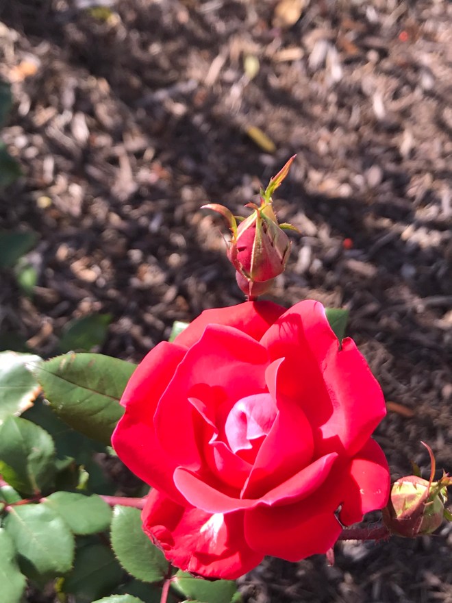 xIlD6q4RTZK%RBPs2oZMKg