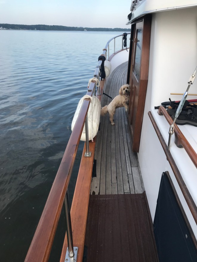 uLS0AKyWTXGlZnePLyIXIw