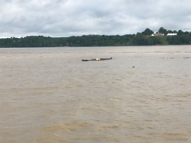 F6vNtQTQRWiA8lYBACqBxg