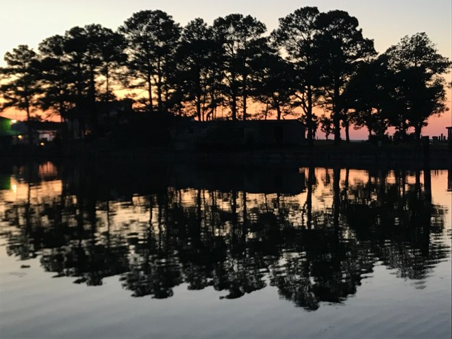 VAEDYtmzTeSM0HO5cNgxjQ