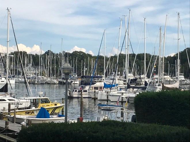 08xfx7vwTcu9Gy5XPjC%vg