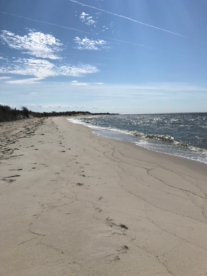 9ZV34yCQR7+DYRG7YScMiQ