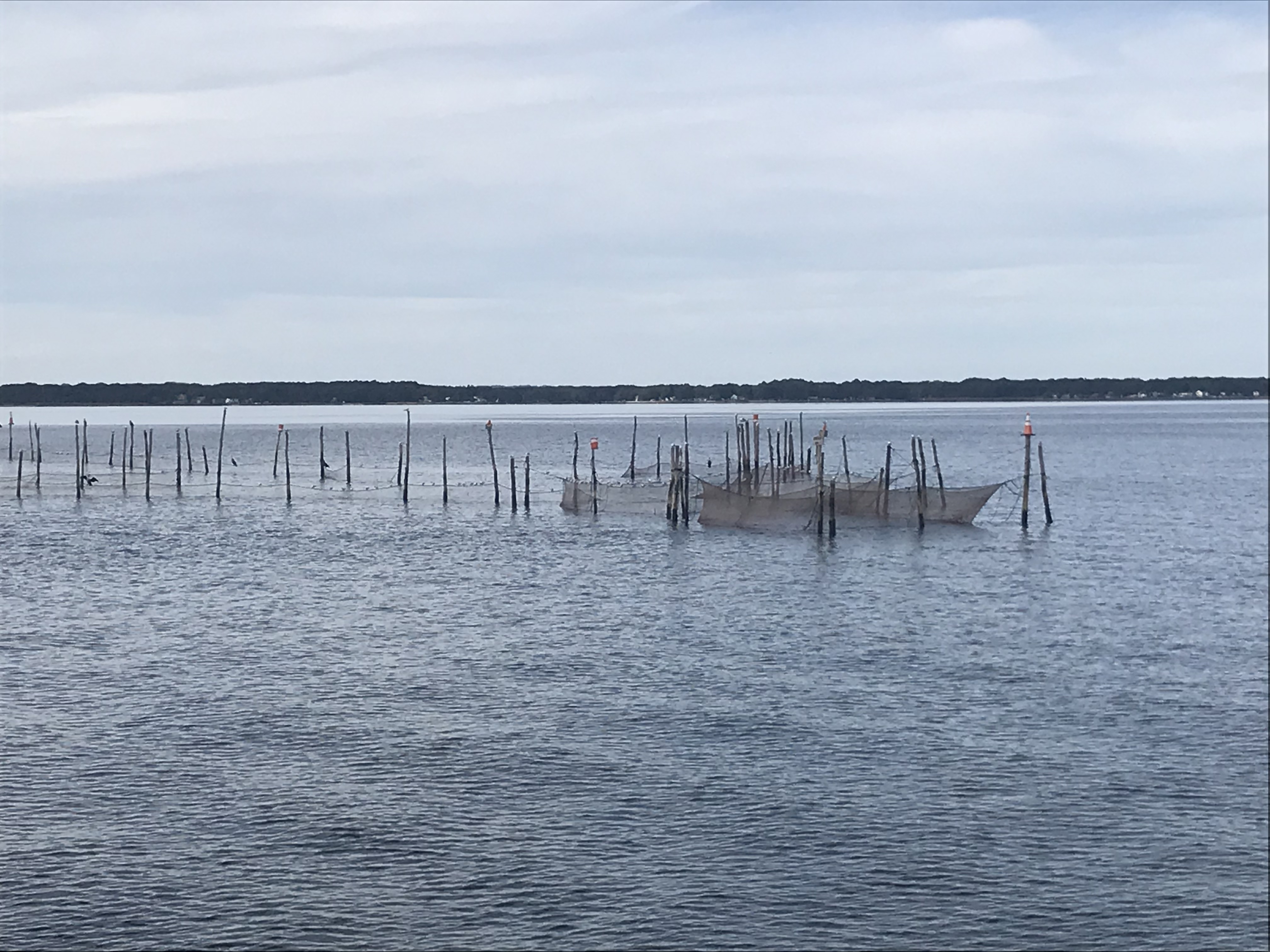 +FrLDDUqQr6Ig5jGDomSlw