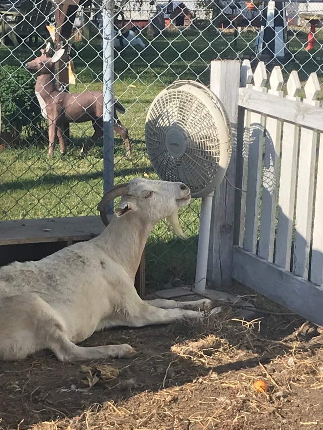 i651ekuKQo+hcLxuDQ7AJg