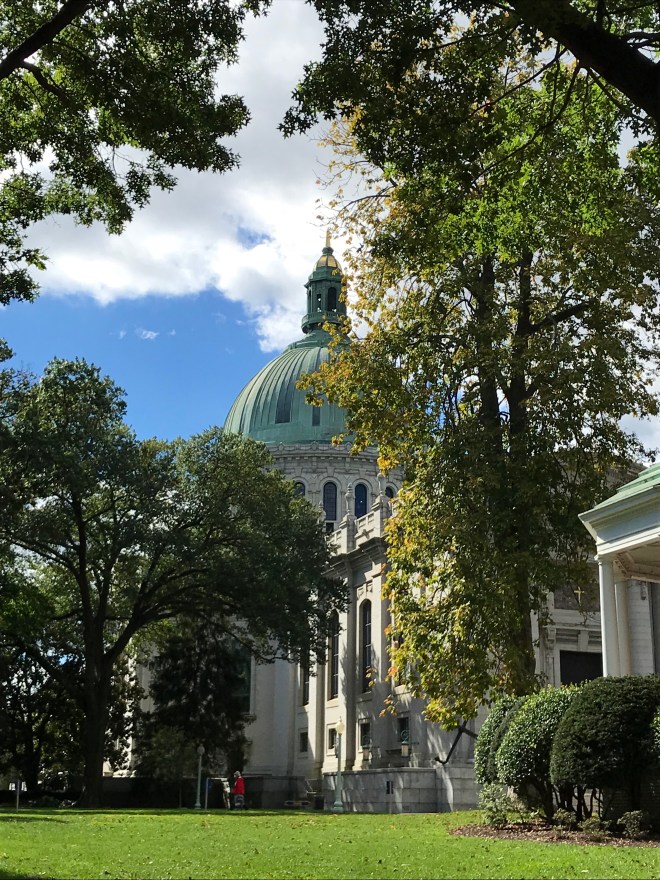 MpmG1FwOS1+N47GrTjeKGw