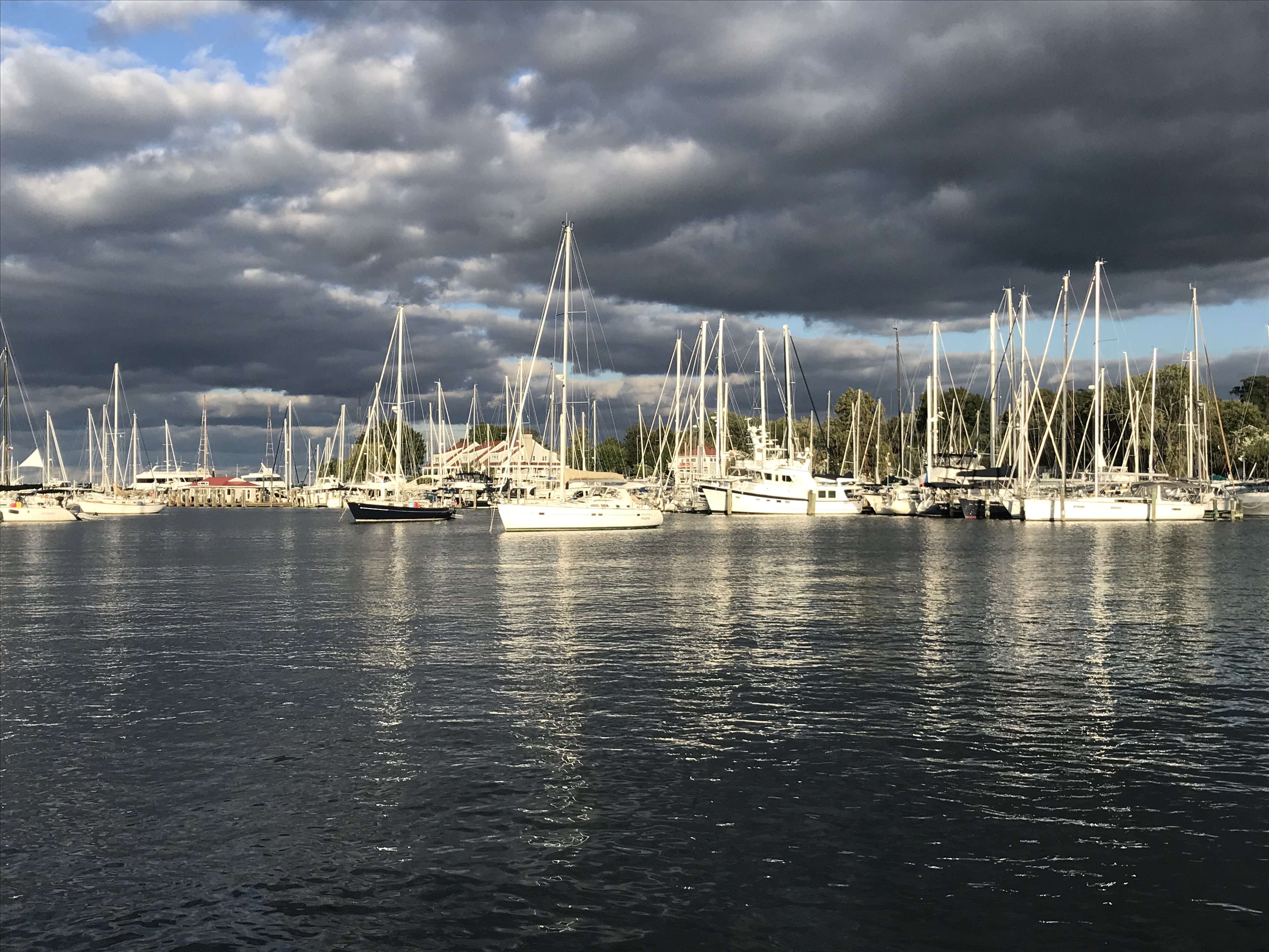 NM8T+dZOTx2FLlusYeXxxg