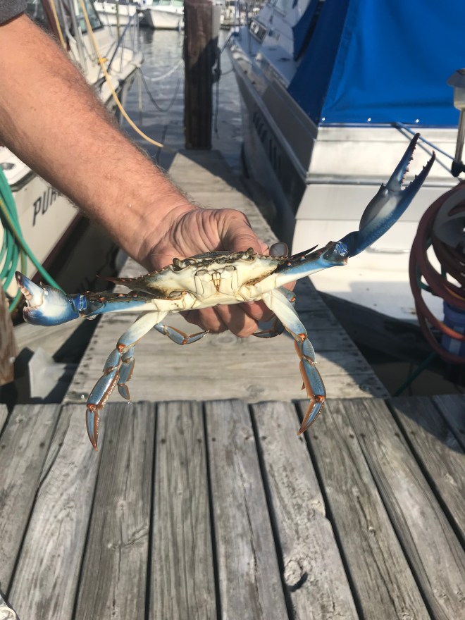 rVZPB9qvRqadTMEEg0Qscg