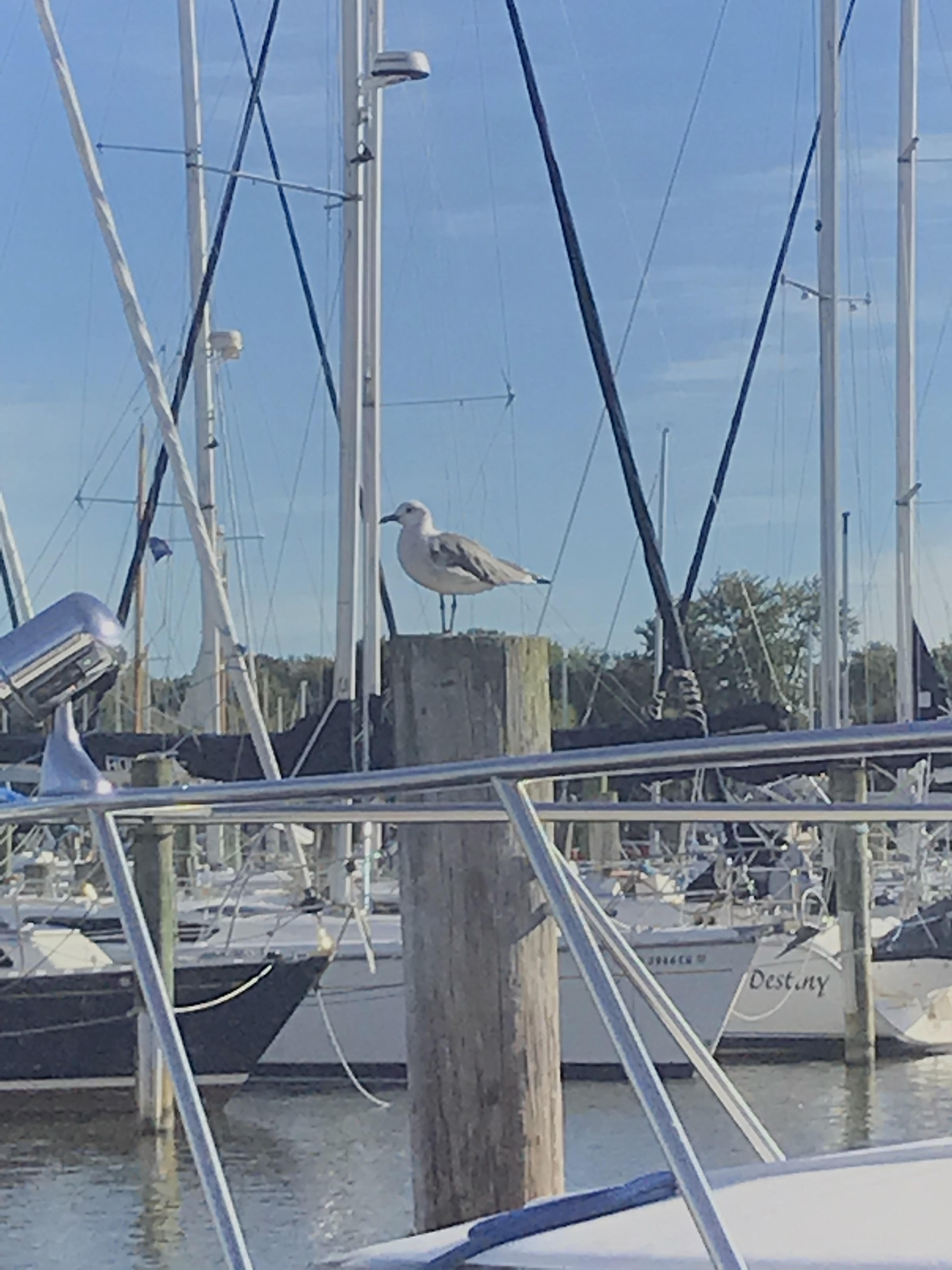 TWZS99qtQlaE7uob9vUhIQ