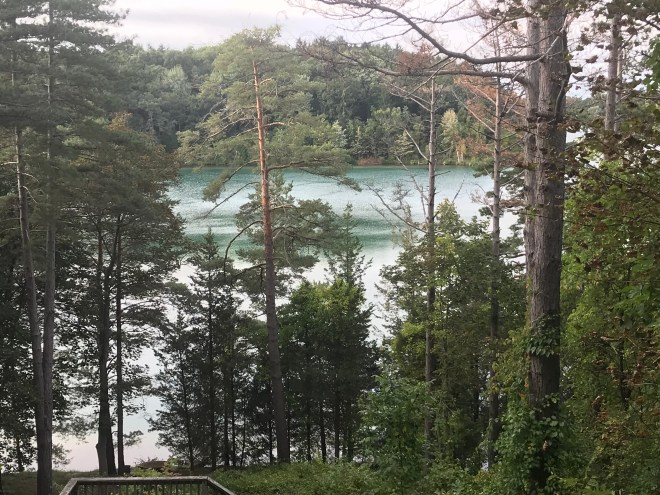 zcMMwPvkQFyYWy79xVMg9A