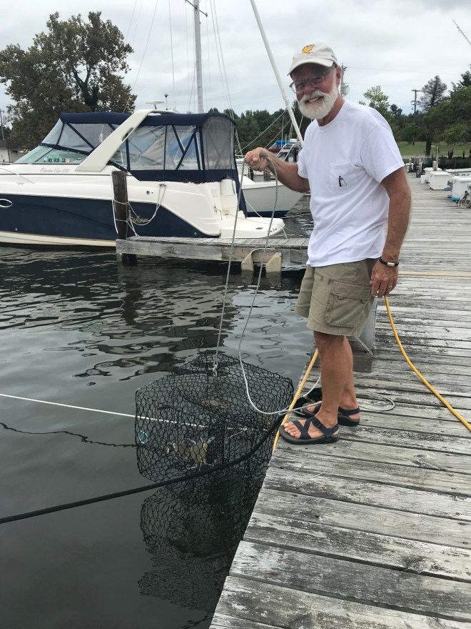 ZmVoTc1WRP2ryOl0p2RDOQ