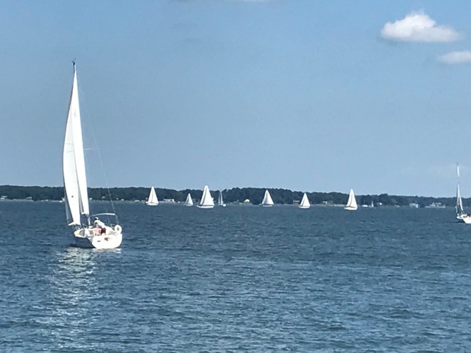 zoIo%6WKQNi9q7CCMr2SWQ