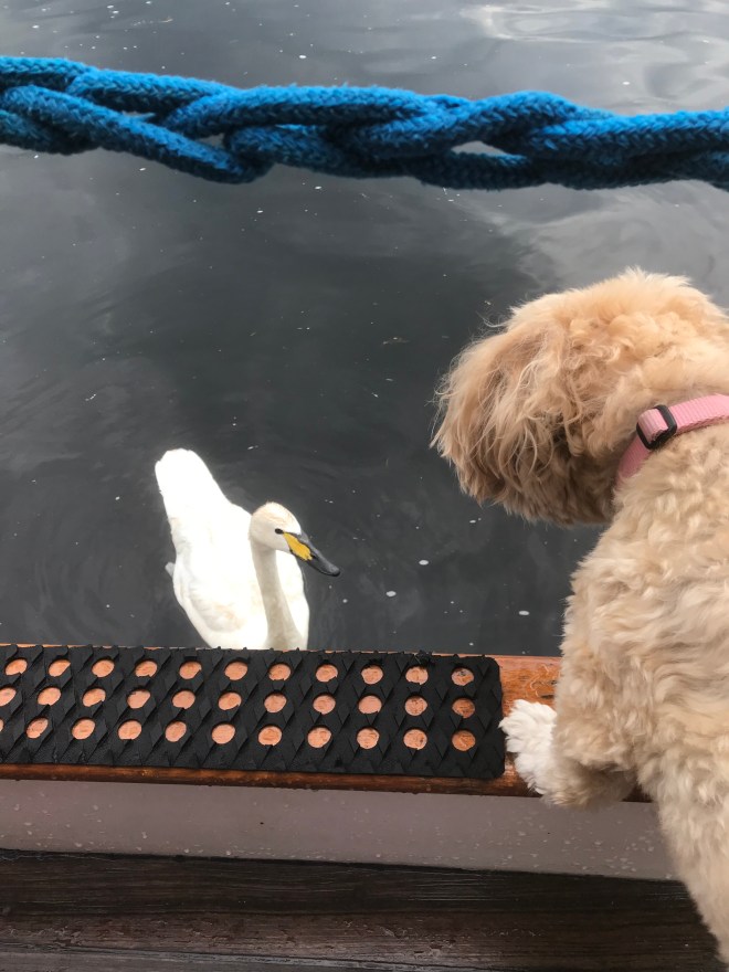 CUI3wqDjSs663Iq5f3Sbwg