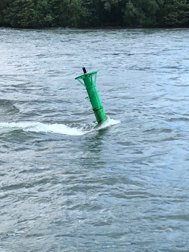 rwSNBOC8Qs2IpIJCi4vpyw