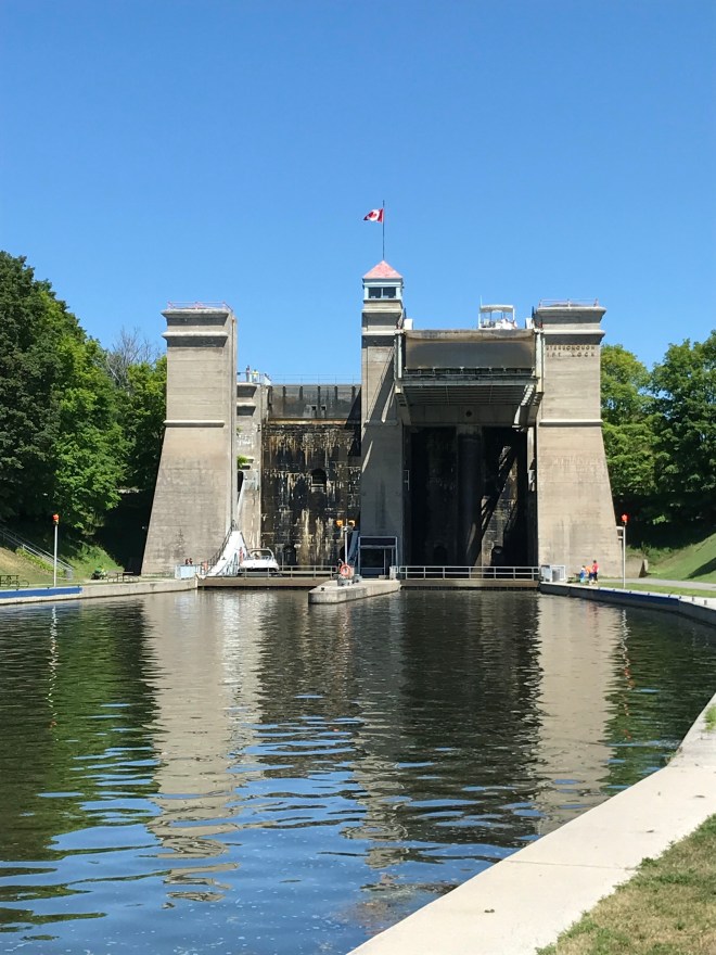 478reWdTSPurUzr3el0JOw