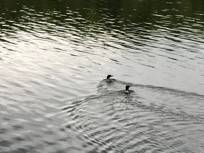 8gQu1X%jSXO2ZyRwa6zOXg