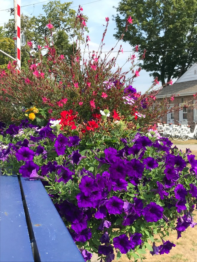 DDx3r4lTS9yr9eMByTEBOQ