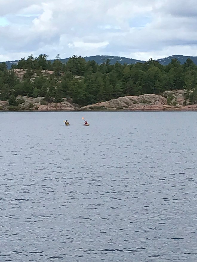 DnTqkojhTWKC3P9EC0im1w