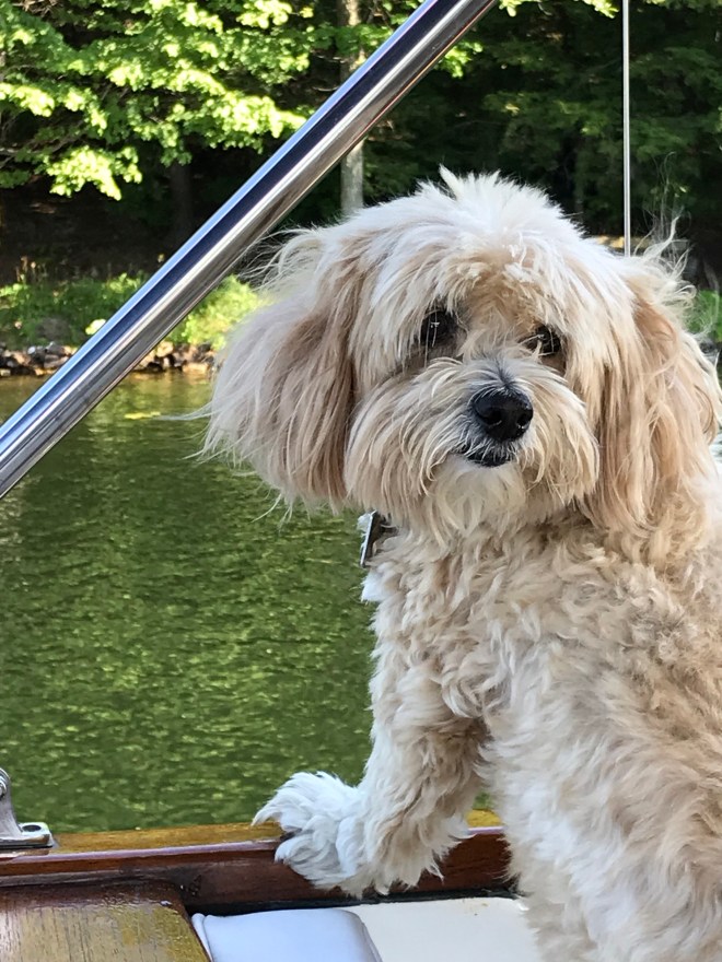 0E3%mj5oScCaVhWcrs28Ig