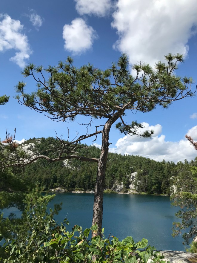 pDeSYAlmRResL7sUpMnFNw